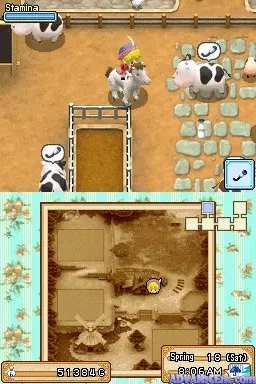 Image n° 3 - screenshots : Harvest Moon DS - Grand Bazaar